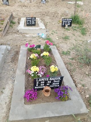 Aydın Kabir Bakımı Kabir Temizlik Bakım Firması İzmir