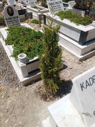 Bayraklı Kabir Bakımı Kabir Temizlik Bakım Firması İzmir
