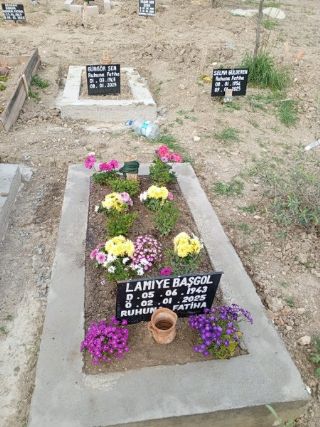 Selçuk Mezar Bakımı Temizleme İzmir Mezar Bakımı